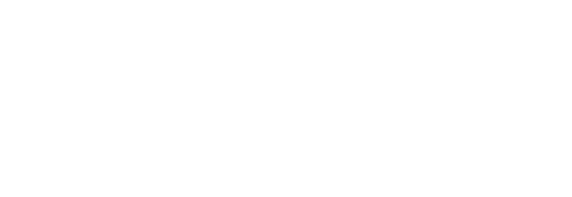 Phan Anh Foundation USA